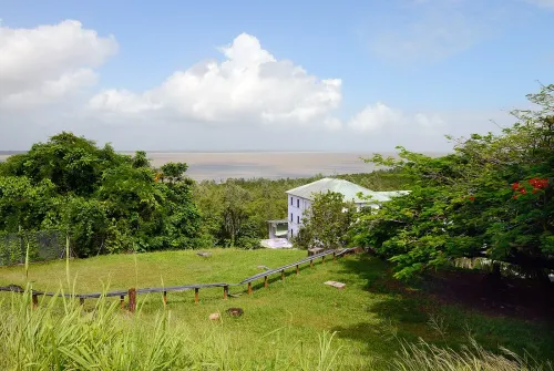 Trouver et acheter un terrain constructible en Guyane pour du locatif