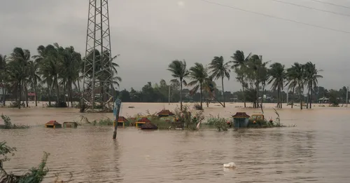Assurance et risques climatiques d'un meuble de tourisme en Guyane : protéger son bien face à la saison des pluies