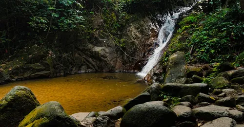 Bassin Paradise et bassins de Basse-Terre : baignade riviere securisee