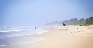 Brume de sable du Sahara en Martinique : impact sur le séjour