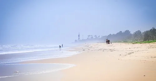 Brume de sable du Sahara en Martinique : impact sur le séjour