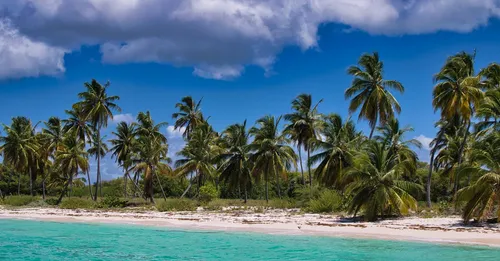 Budget vacances en Guadeloupe : combien prevoir par jour