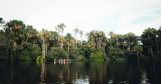 Budget voyage en Guyane : combien prévoir en 2026 ?
