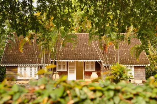Bungalow ou appartement : quel bien louer le mieux en Guadeloupe ?