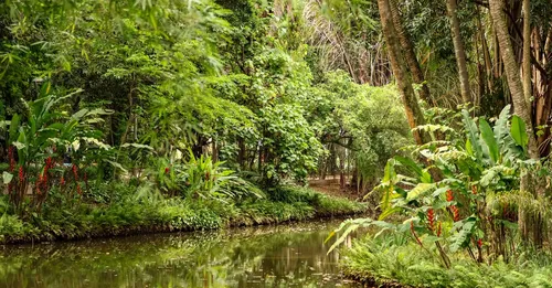 Camp Caïman et sentier des Trois Lacs : l'escapade nature à 45 minutes de Cayenne