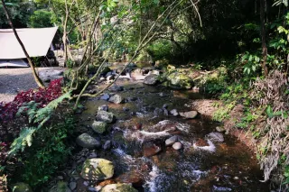 Camping en Guyane : carbets, bivouac et nature amazonienne (2026)