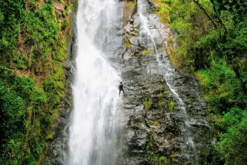 Canyoning à Basse-Terre : descentes encadrées dans les rivières