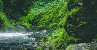 Canyoning à la Guadeloupe : sauter dans les rivières de Basse-Terre