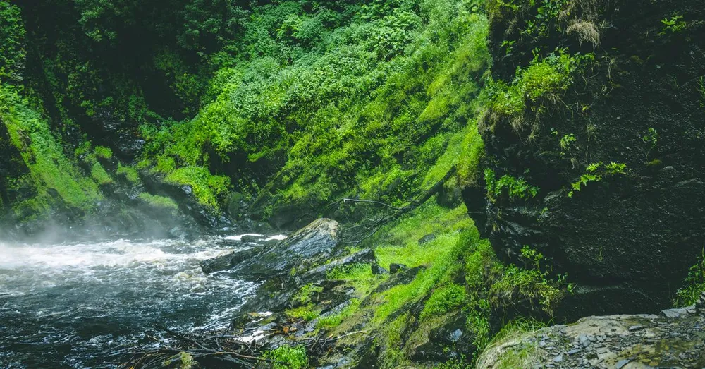 Canyoning à la Guadeloupe : sauter dans les rivières de Basse-Terre