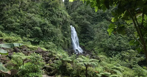 Canyoning et via ferrata en Martinique : où se lancer dans le Nord