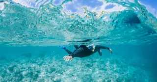 Coffre des Caps y Cap Chevalier: snorkel en una laguna turquesa
