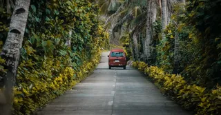 Cayenne-est sans voiture : ce que l'on atteint à pied depuis Montabo