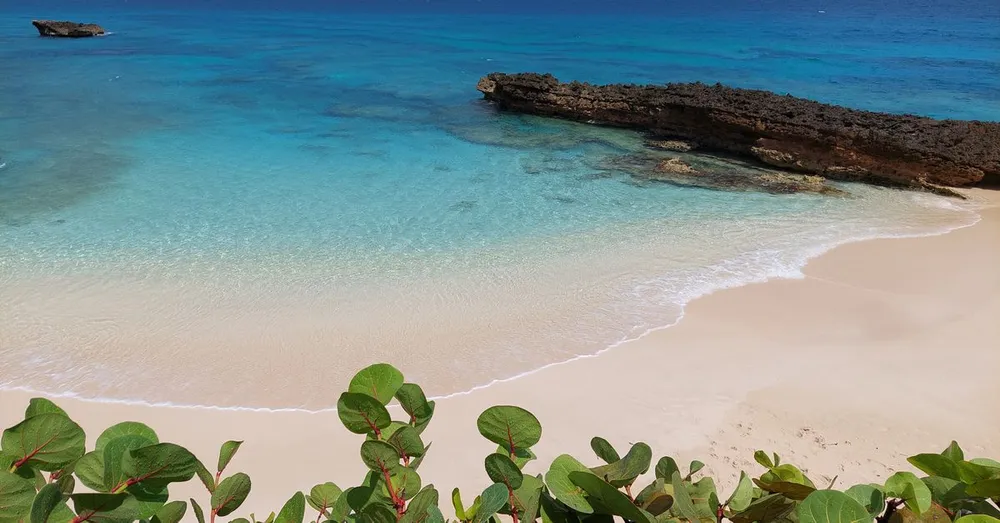 Chlordécone et baignade : où se baigner en toute sécurité en Martinique