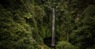 Chutes du Carbet : quel saut choisir selon votre niveau