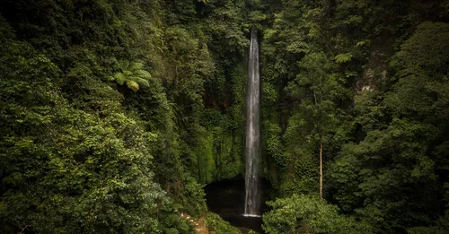 Chutes du Carbet : quel saut choisir selon votre niveau