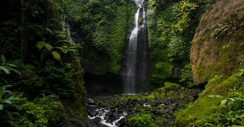 Chutes du Carbet : quelle chute choisir selon votre niveau