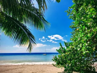 Classement meublé de tourisme en Martinique : pourquoi et comment