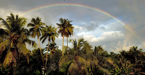 Climat de la Guyane mois par mois : pluie, chaleur et taux d'humidité