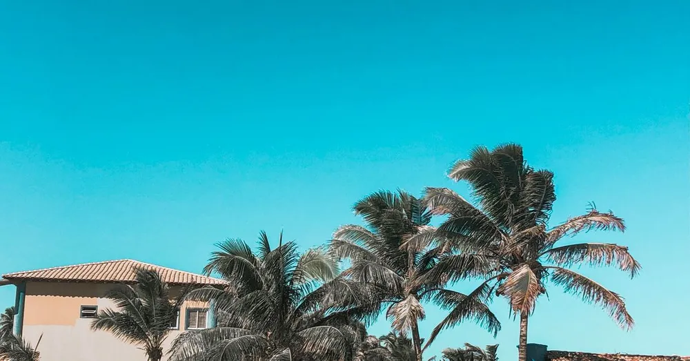 Conciergerie Airbnb en Guyane : déléguer la gestion de votre location