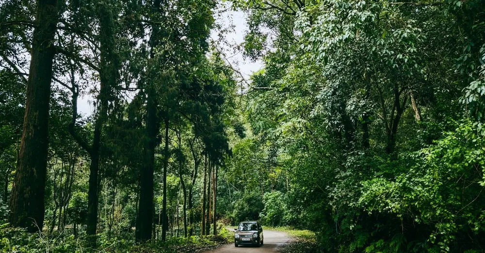 Conduire en Guyane : permis, contrôles et conduite locale pour les visiteurs