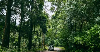 Conduire en Guyane : permis, contrôles et conduite locale pour les visiteurs