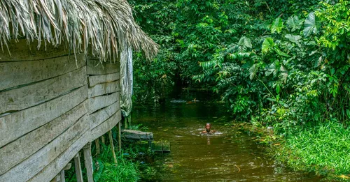 Crique en Guyane : se baigner en eau douce en toute sécurité