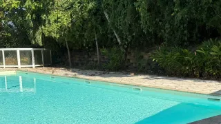 Le Diamant Cayennais et le T2 Baduel : deux adresses avec piscine dans le même quartier