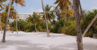 Dormir à Montabo (Cayenne) : plage, hôtels et appartements