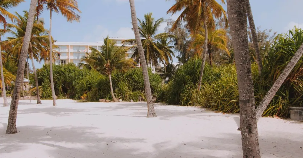 Dormir à Montabo (Cayenne) : plage, hôtels et appartements