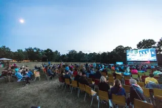 Festival Internacional de Cine de los Amazónicos: la guía práctica para vivir el cine guayanés