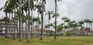 Festa da Música em Caiena: guia dos palcos de 21 de junho e dos concertos de verão