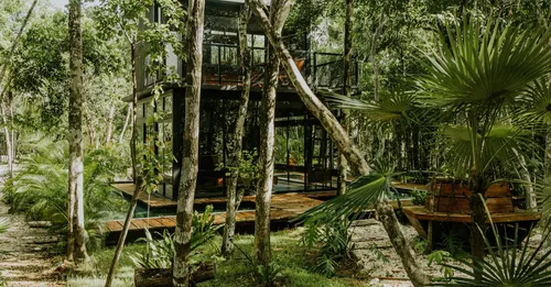 Gestion locative à distance en Guyane : confier sa location depuis la métropole