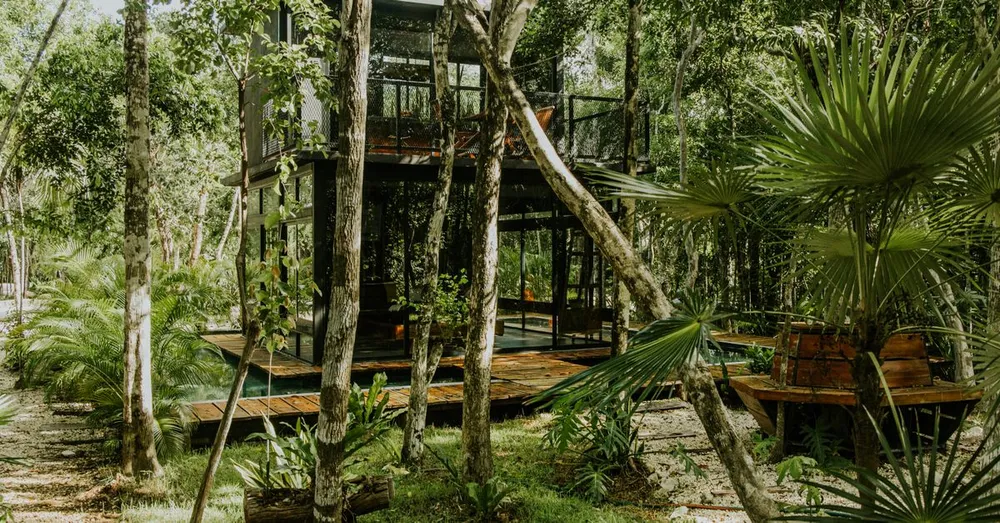Gestion locative à distance en Guyane : confier sa location depuis la métropole