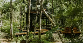 Gestion locative à distance en Guyane : confier sa location depuis la métropole