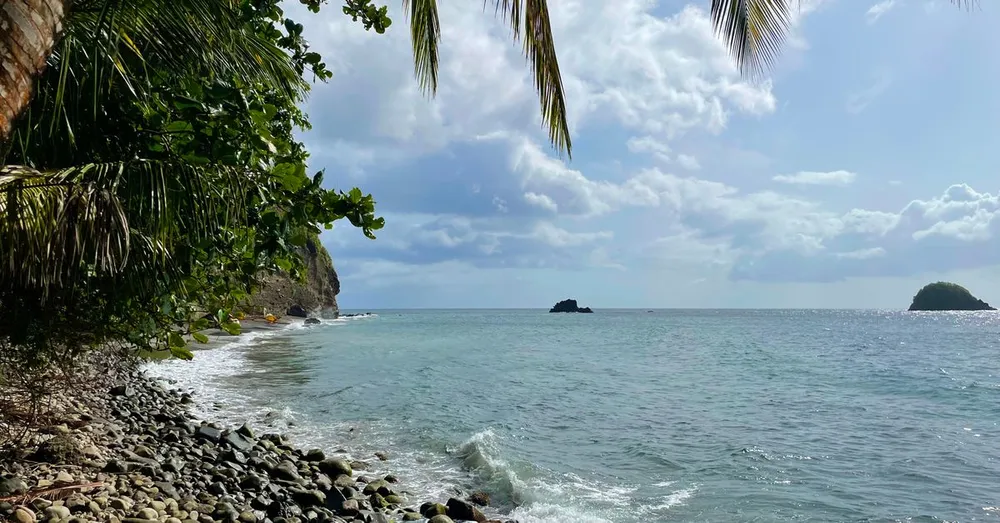 Grand-Rivière : bout de l'île, plage de galets et randonnée du Prêcheur
