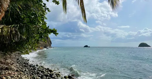 Grand-Rivière : bout de l'île, plage de galets et randonnée du Prêcheur