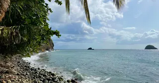 Grand-Rivière : bout de l'île, plage de galets et randonnée du Prêcheur