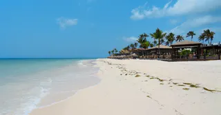 Grande Anse des Salines : guide complet de la plage iconique de Sainte-Anne