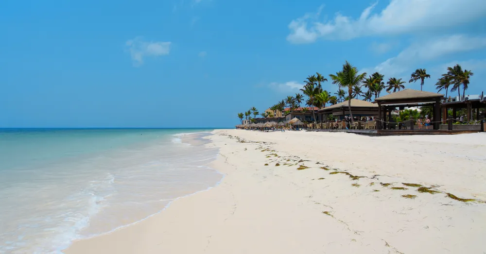Grande Anse des Salines : guide complet de la plage iconique de Sainte-Anne