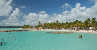 Plage de Grande-Anse à Deshaies : marée, courant, parking et coins d'ombre par nos hôtes