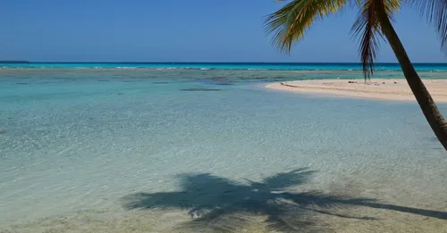 Guadeloupe pas cher : 12 astuces pour reduire la note