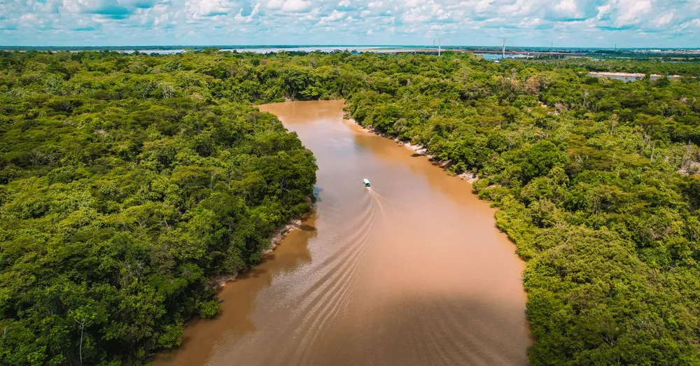 Guide voyage Guyane 2026 : que faire, quand partir, où dormir
