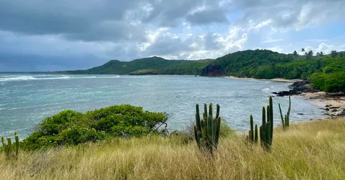 Guide voyage Martinique 2026 : plages, randonnées et où loger