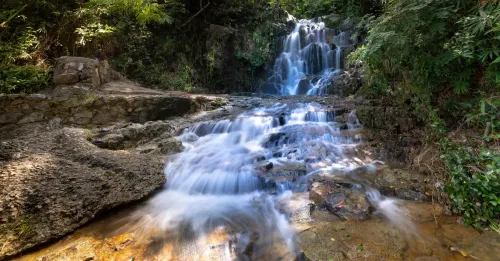 Guyane en 3 jours depuis les Antilles : l'escapade express qui change du lagon
