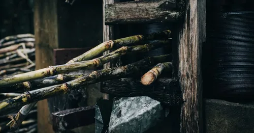 Habitations sucrières & distilleries de rhum en Guadeloupe (2026)