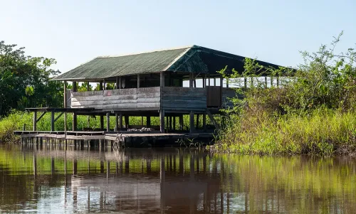 Missions environnement/forêt : se loger