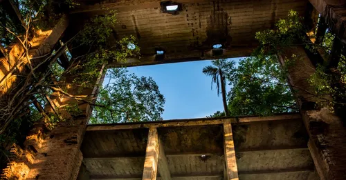 Histoire du sucre et des habitations en Martinique : comprendre l'île par ses plantations