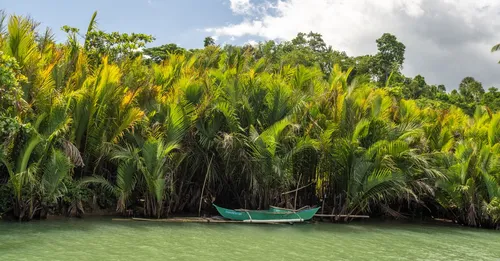 Les îles du Salut en Guyane : visite, traversée et prix (2026)