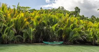 Les îles du Salut en Guyane : visite, traversée et prix (2026)