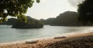 Îlet Chancel et ses iguanes : la sortie kayak au Robert